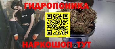 метадон Новозыбков